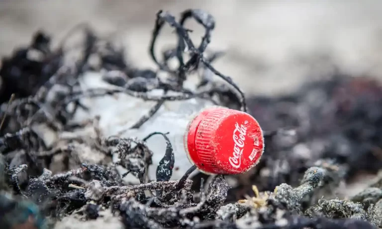 Видео: “Кока-кола” и её пластиковые обещания | Докфильм Би-би-си￼￼