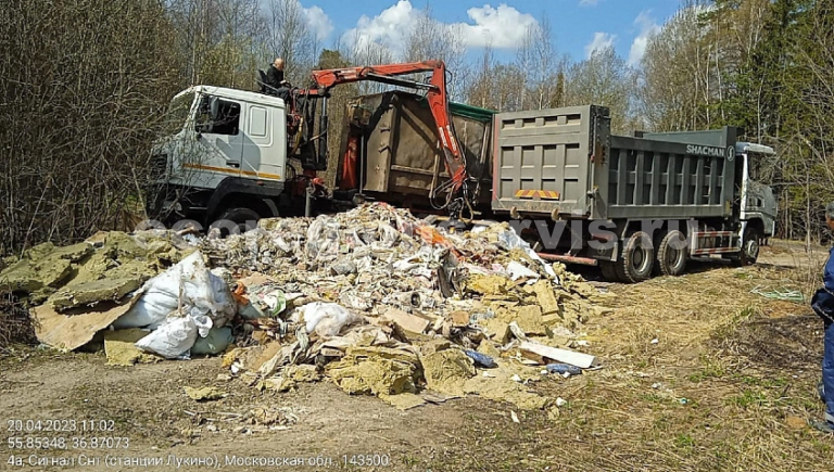 Подмосковье выделило округам почти 190 млн руб на уборку мусора в лесах
